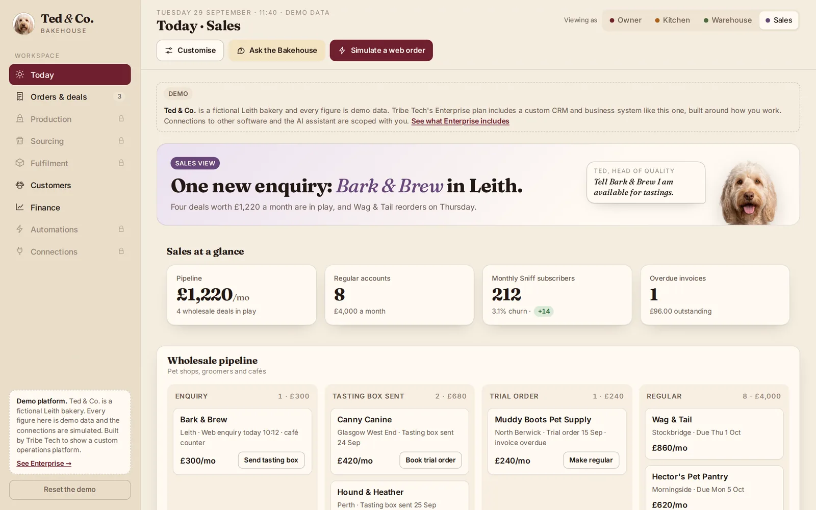 The sales dashboard in the Ted & Co. demo
